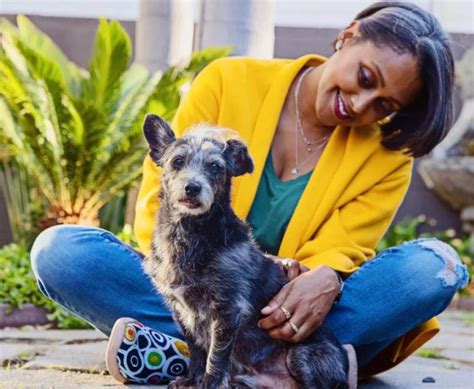 mesquite city animal shelter photos|The City.